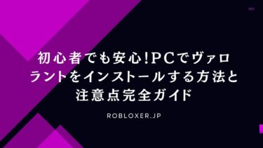 初心者でも安心！PCでヴァロラントをインストールする方法と注意点完全ガイド